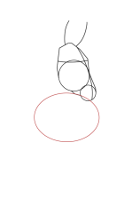 How to draw a donkey - Step 6