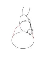 How to draw a donkey - Step 7