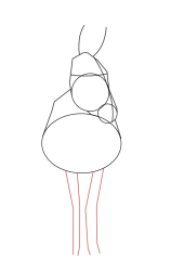 How to draw a donkey - Step 8