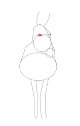How to draw a donkey - Step 9
