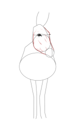 How to draw a donkey - Step 10