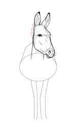 How to draw a donkey - Step 14