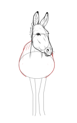 How to draw a donkey - Step 15