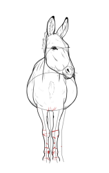 How to draw a donkey - Step 18
