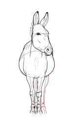 How to draw a donkey - Step 19