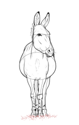 How to draw a donkey - Step 20