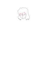 How to Draw Inosuke Hashibira - Step 4