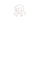 How to Draw Rengoku Kyojuro - [Kimetsu no Yaiba] - Step 3