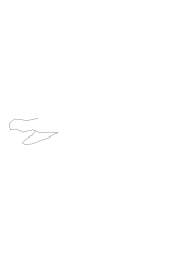 How to draw an alligator - Step 1