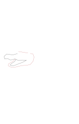 How to draw an alligator - Step 2