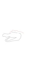 How to draw an alligator - Step 3