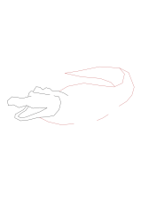 How to draw an alligator - Step 4