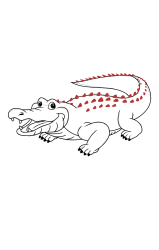 How to draw an alligator - Step 20