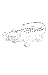 How to draw an alligator - Step 22