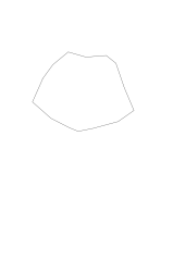 How to draw a arctic fox - Step 1