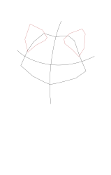 How to draw a arctic fox - Step 3