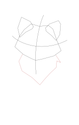 How to draw a arctic fox - Step 4