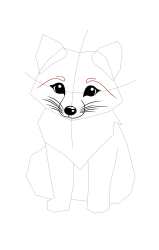 How to draw a arctic fox - Step 11