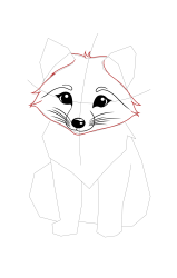 How to draw a arctic fox - Step 12