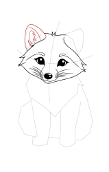 How to draw a arctic fox - Step 13