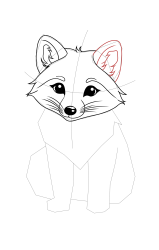 How to draw a arctic fox - Step 14