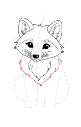 How to draw a arctic fox - Step 16