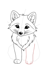 How to draw a arctic fox - Step 18