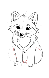 How to draw a arctic fox - Step 20
