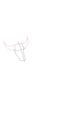 How to draw a buffalo - Step 3