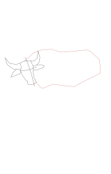 How to draw a buffalo - Step 5