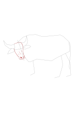 How to draw a buffalo - Step 8