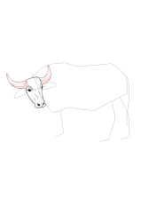 How to draw a buffalo - Step 10