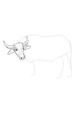 How to draw a buffalo - Step 12