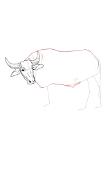 How to draw a buffalo - Step 13