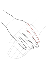 How to draw a hand easy - Step 15