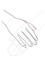 How to draw a hand easy - Step 16