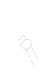 How to draw a hand holding something - Step 1