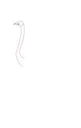 How to draw an ostrich - Step 3