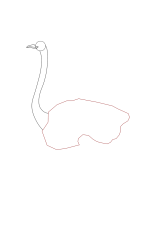 How to draw an ostrich - Step 4