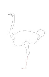 How to draw an ostrich - Step 7