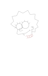 How to draw homer simpson - Step 6