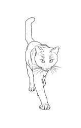 How to draw a warrior cat