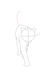 How to draw a warrior cat - Step 8