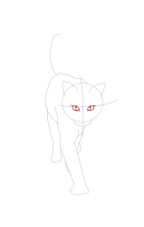 How to draw a warrior cat - Step 9