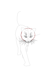 How to draw a warrior cat - Step 13