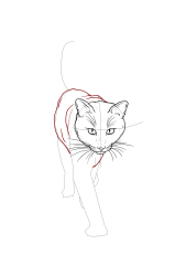 How to draw a warrior cat - Step 15