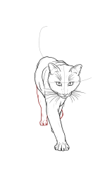 How to draw a warrior cat - Step 18