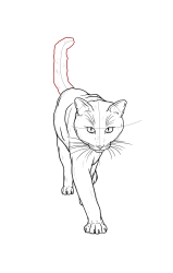 How to draw a warrior cat - Step 19